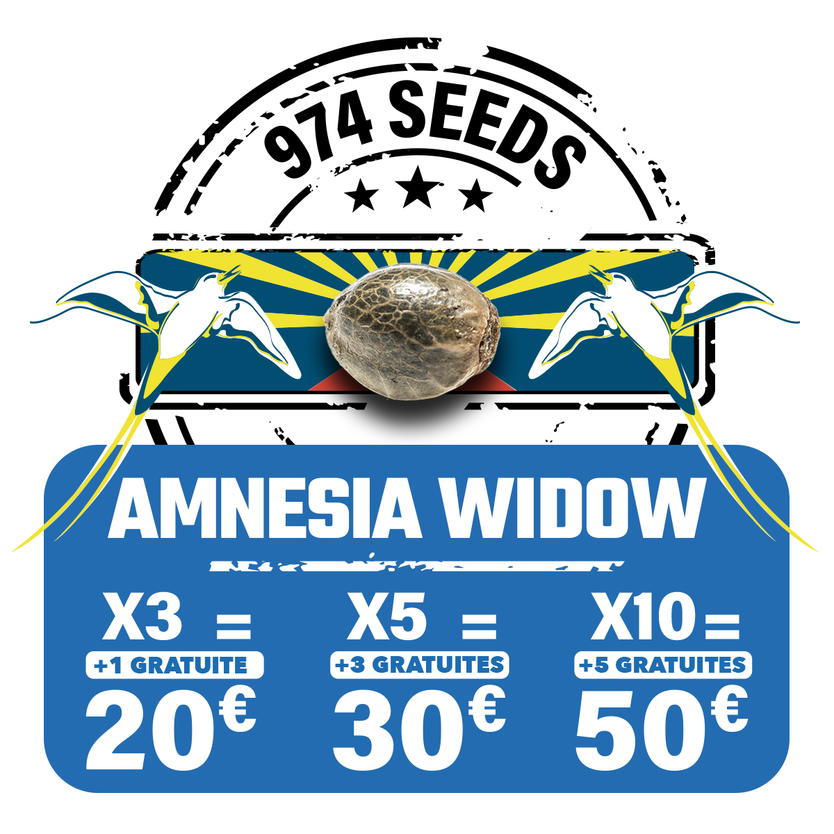 Amnesia widow (fem)