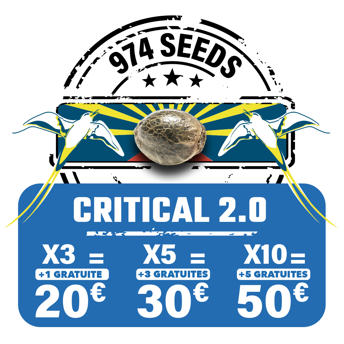 Critical 2.0 (fem)