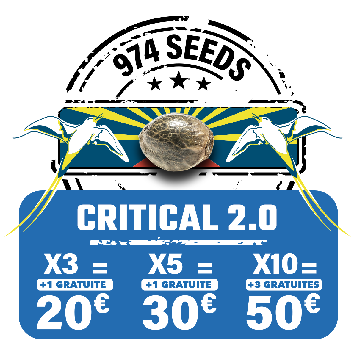 critical 2.0 graines de collection réunion 974