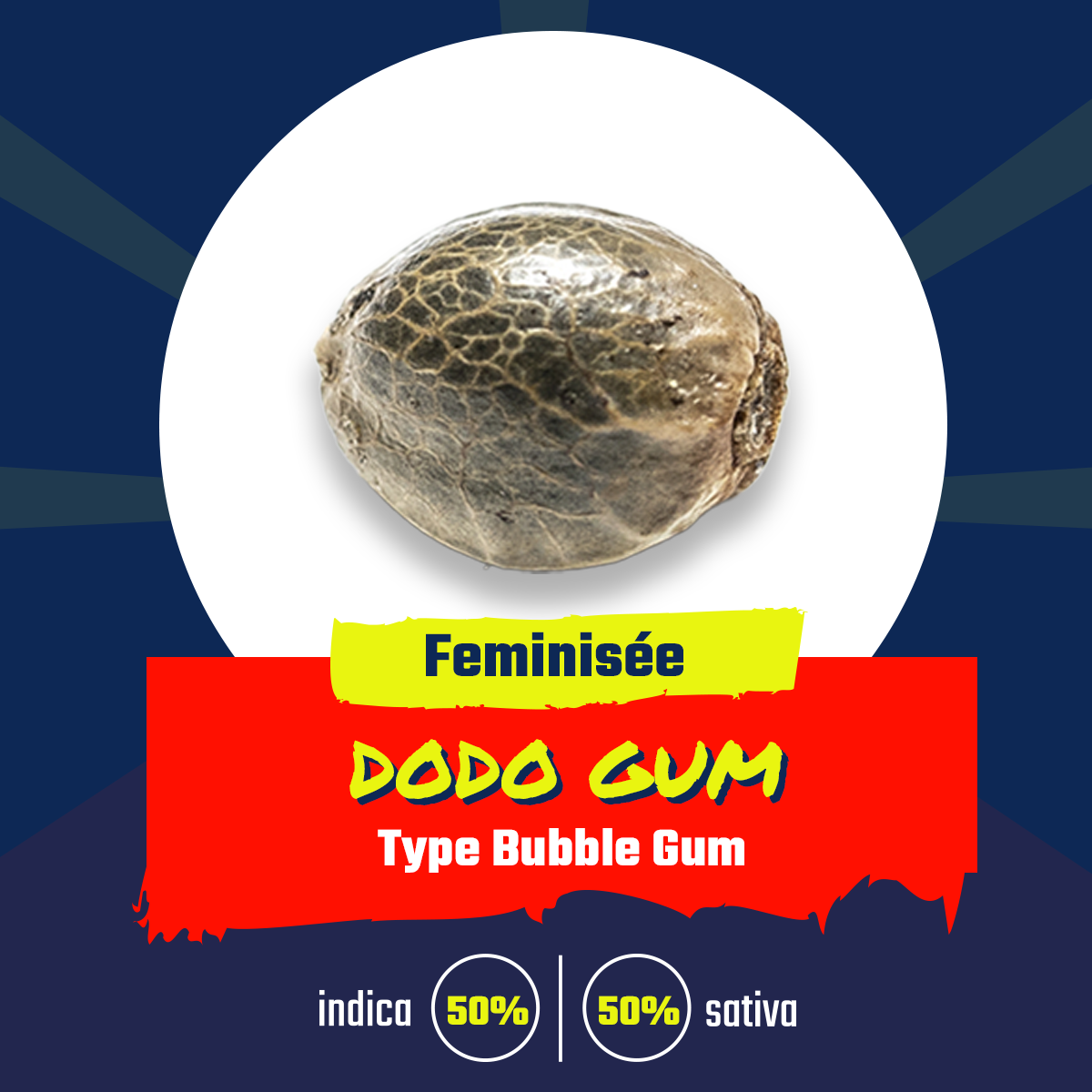 Dodo Gum (fem)