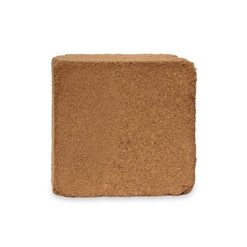 Advanced COCO XL (70L)