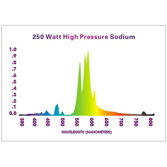 Lampe HPS 250W - Croissance et Floraison