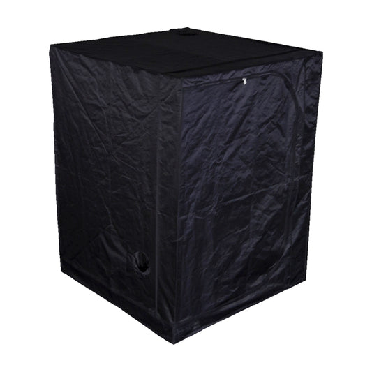 box culture 150 mammoth