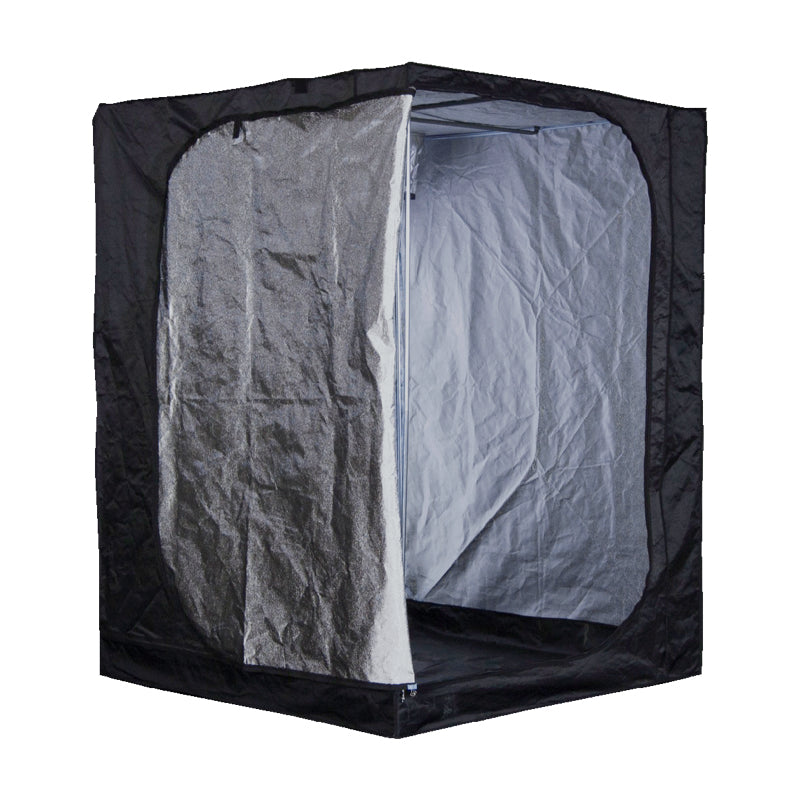 box culture 150