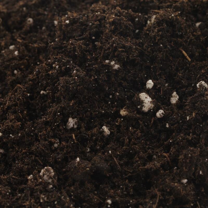 Canna terra pro 50 litres