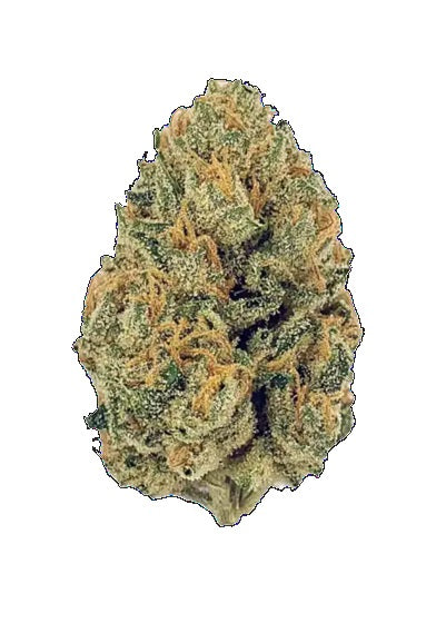 Fleur CBD Angel Cake Outdoor – Cultivée à La Réunion | Artizane