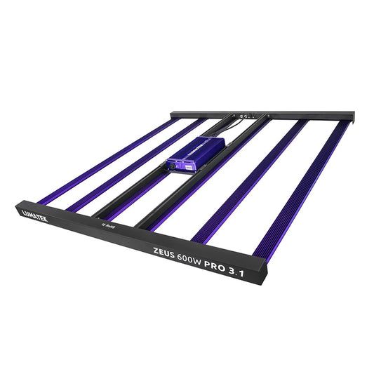 LED ZEUS PRO 600W
