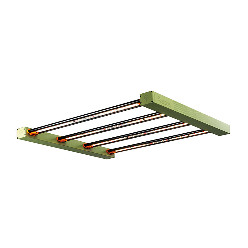 LED TREEGERS 300W