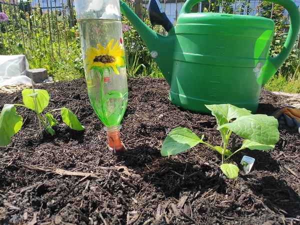 Blumat arrosage automatique