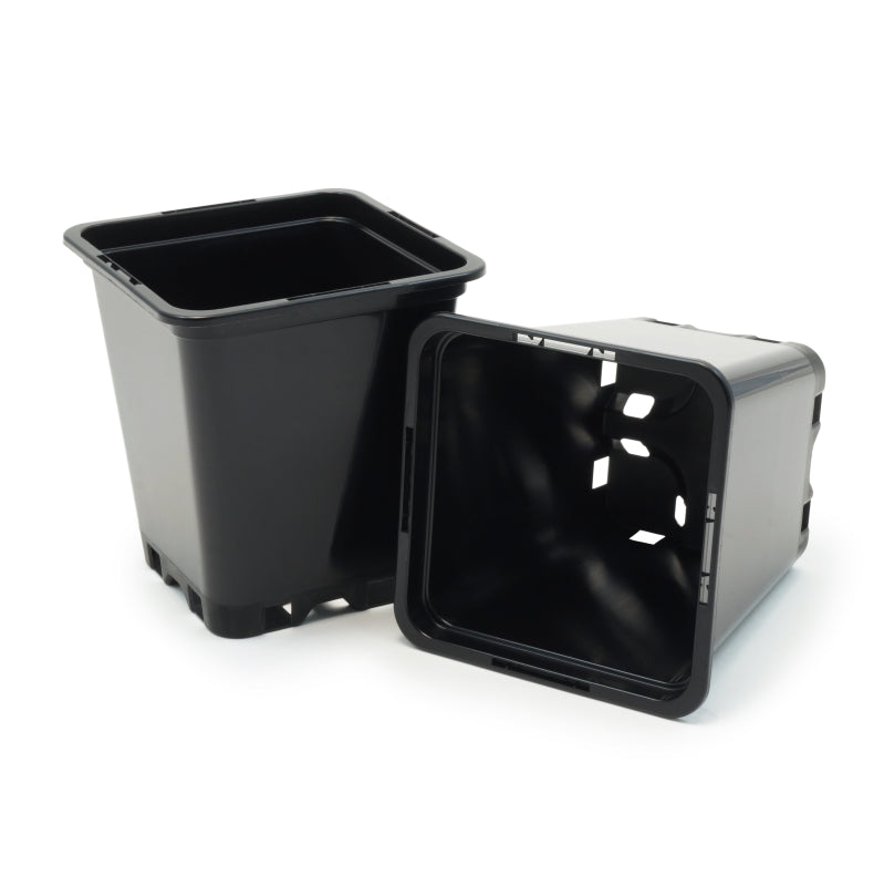 Pot de germination et croissance (0,5 litre)