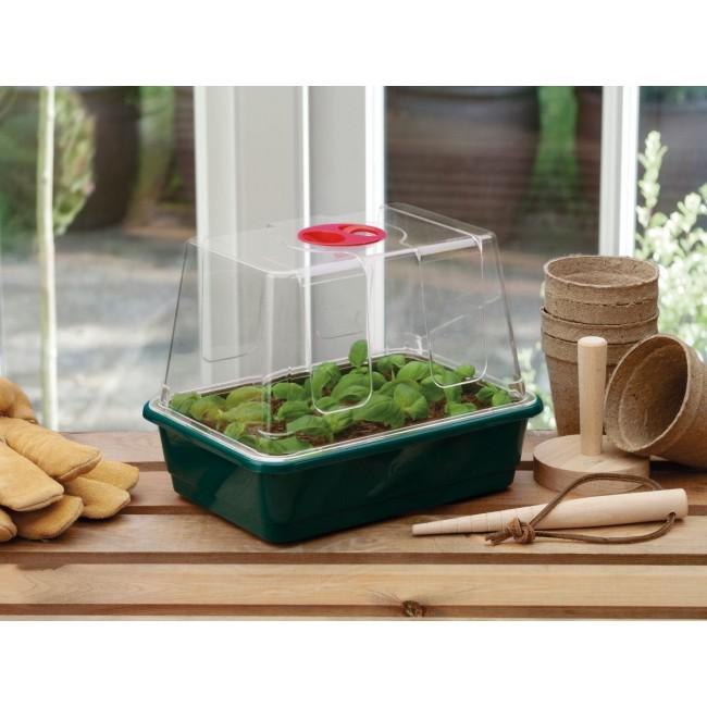 Petite serre pour germination et boutures