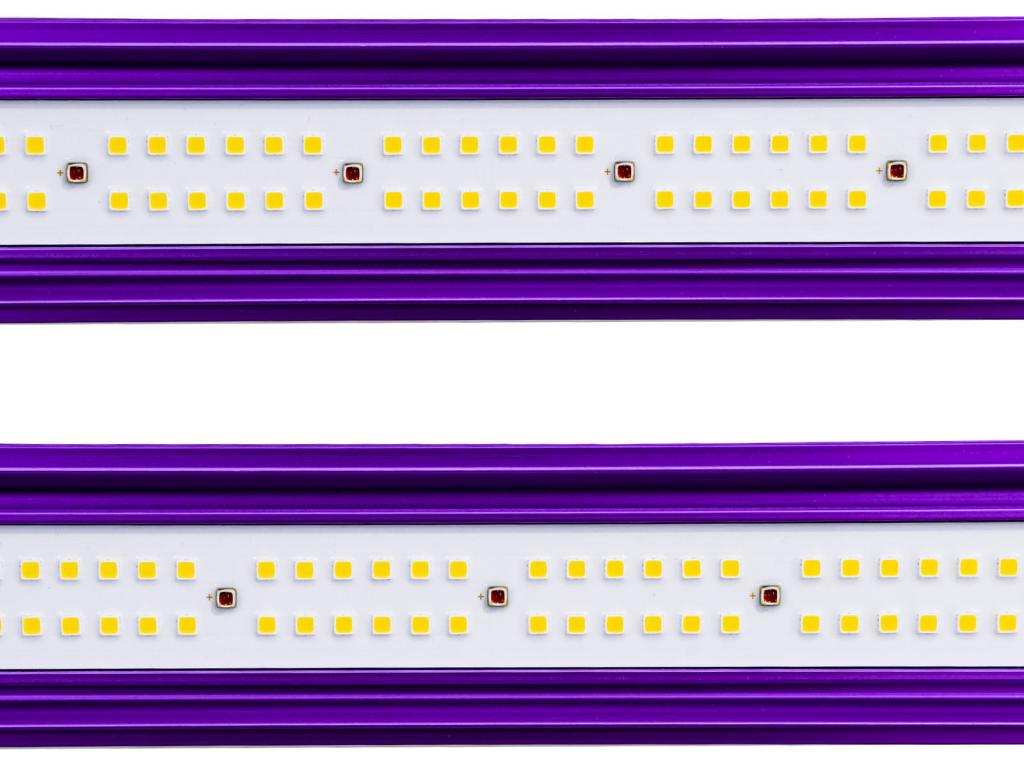 LED ZEUS PRO 465W