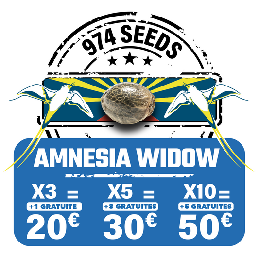 Amnesia widow (fem)