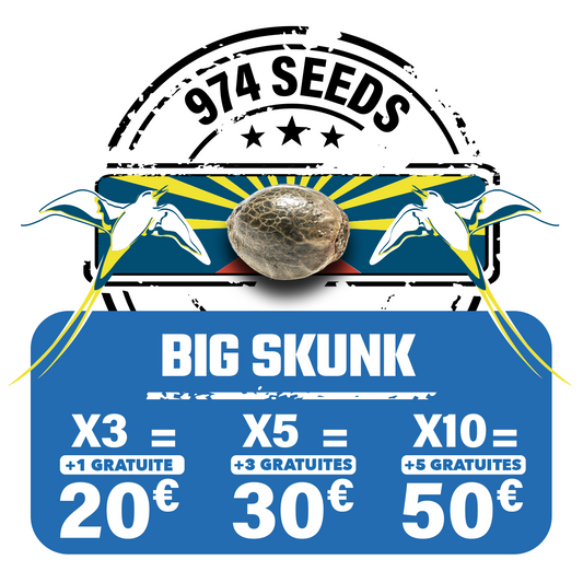 Big Skunk (fem)