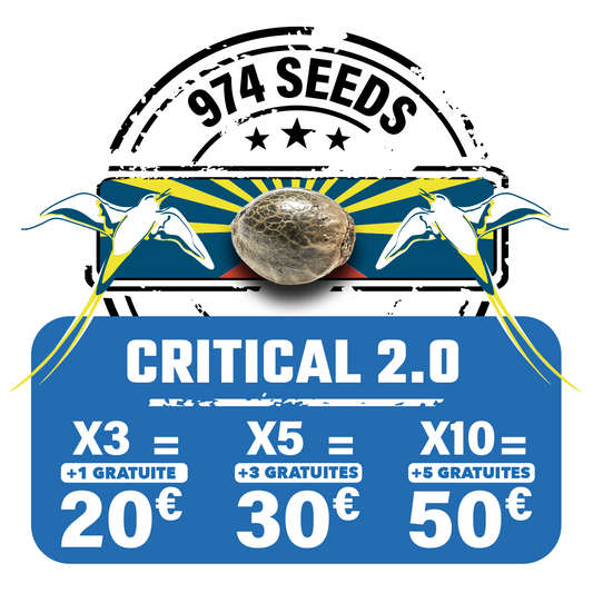 Critical 2.0 (auto)