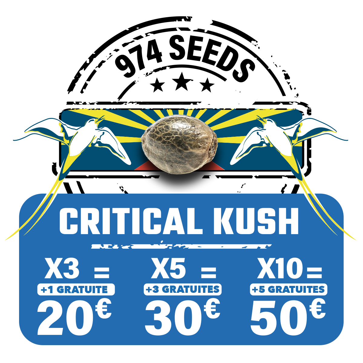 Critical Kush (fem)