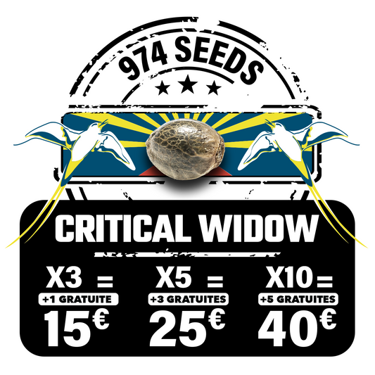 Critical widow (fem)