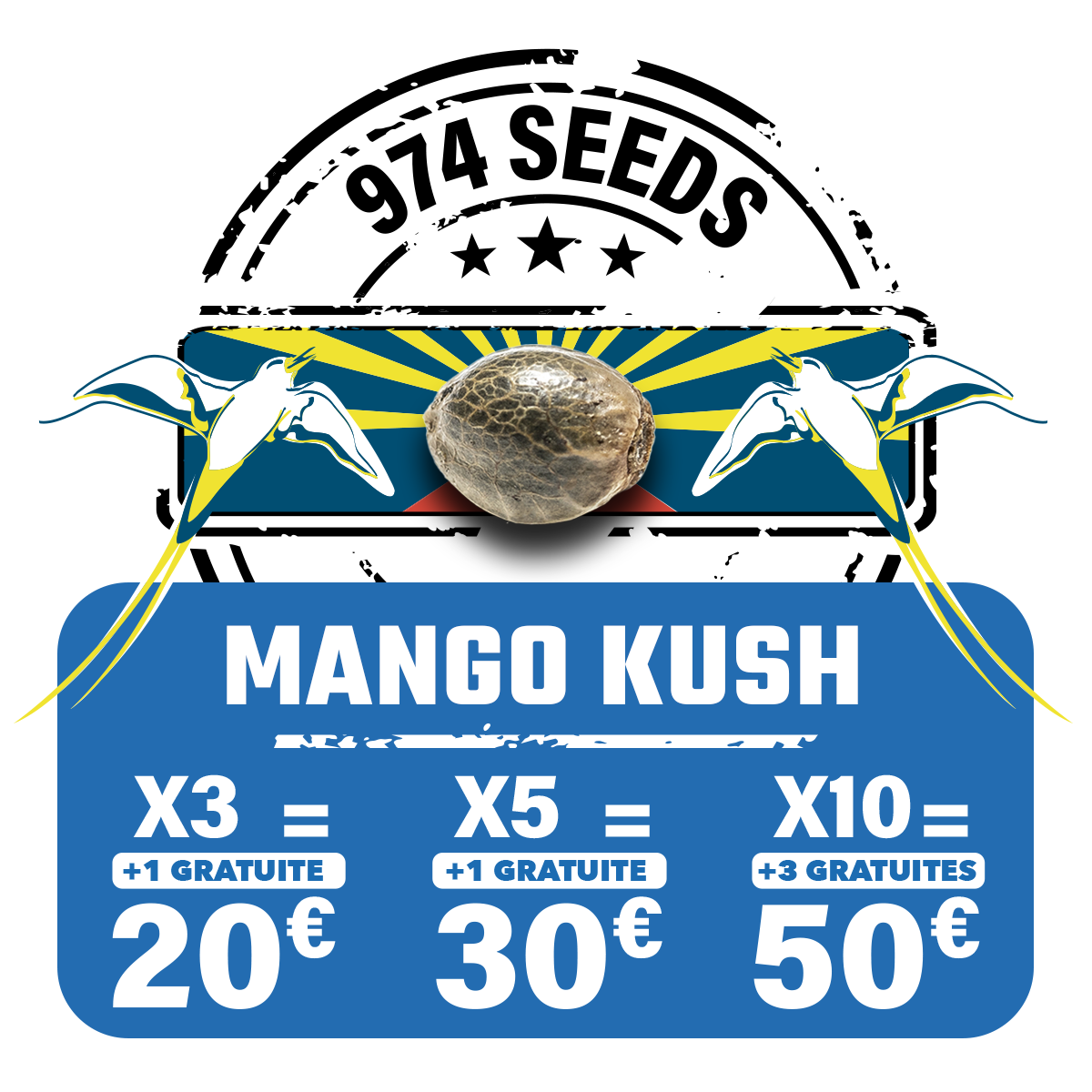 Mango kush (fem)