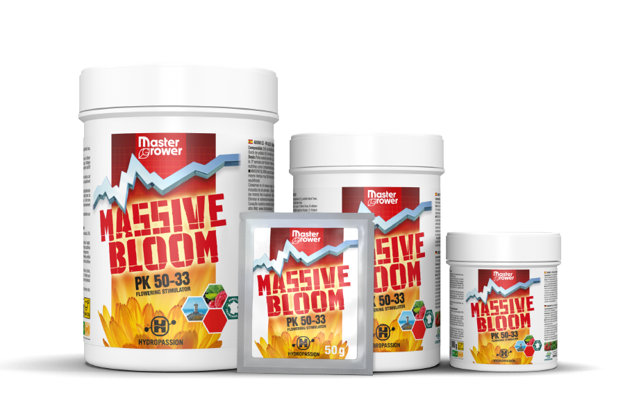 Massive Bloom