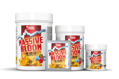 Massive Bloom