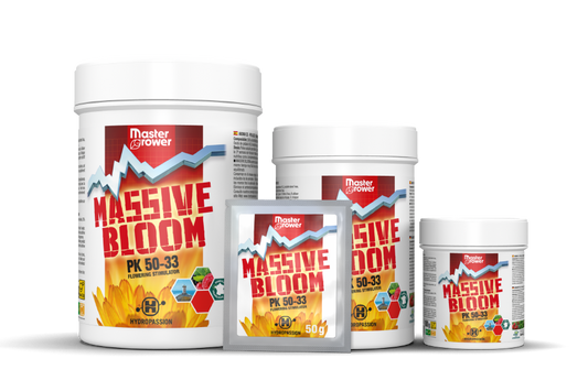 Massive Bloom