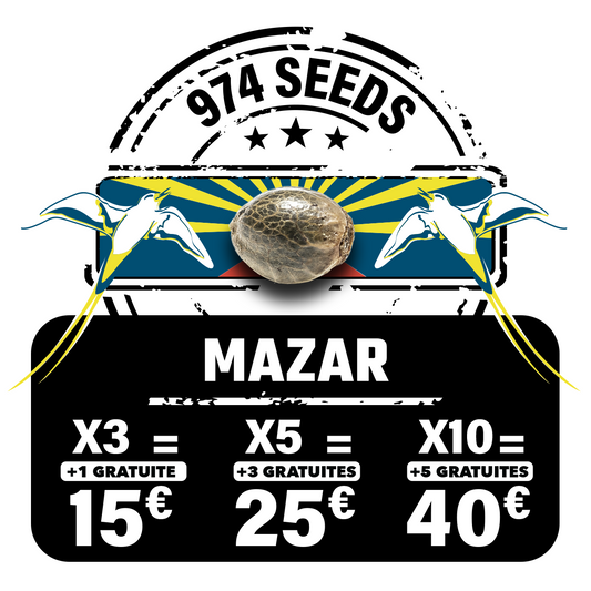 Mazar (fem)