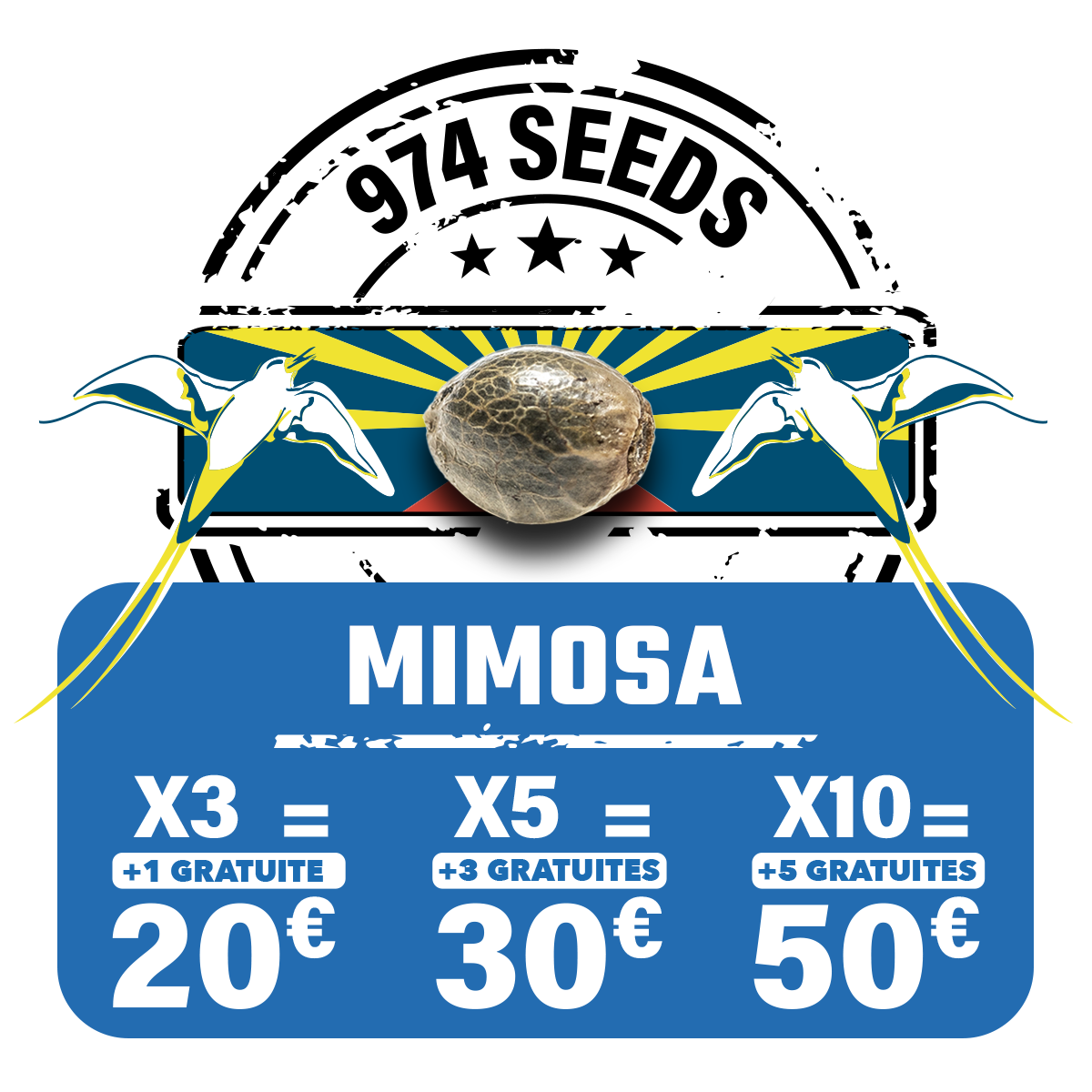 Mimosa (fem)