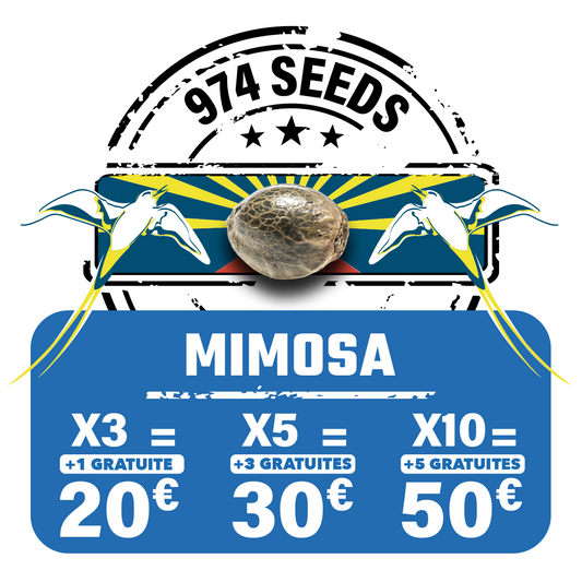 Mimosa (auto)