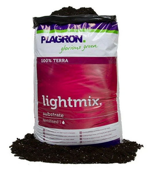 Le terreau Light mix Plagron est parfait pour la germination, la croissance et l'enracinement de vos graines, semis et boutures. Avec sa composition spéciale de tourbes noire et blonde sélectionnées avec soin, ainsi que de fibres et de perlite de qualité, ce terreau offre une légèreté idéale et un niveau optimal d'oxygène pour vos plantes. 