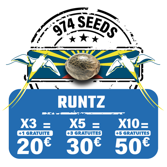 Runtz (auto)