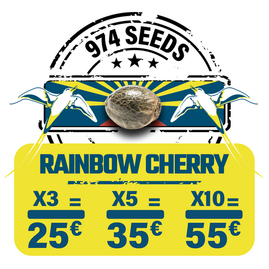 Rainbow Cherry
