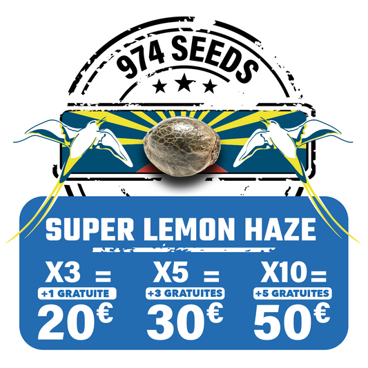 Super Lemon Haze (fem)