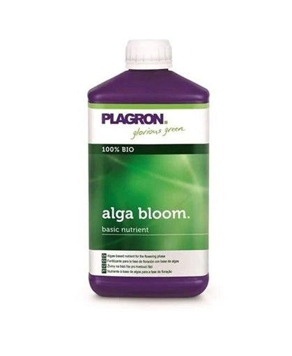 Alga Bloom