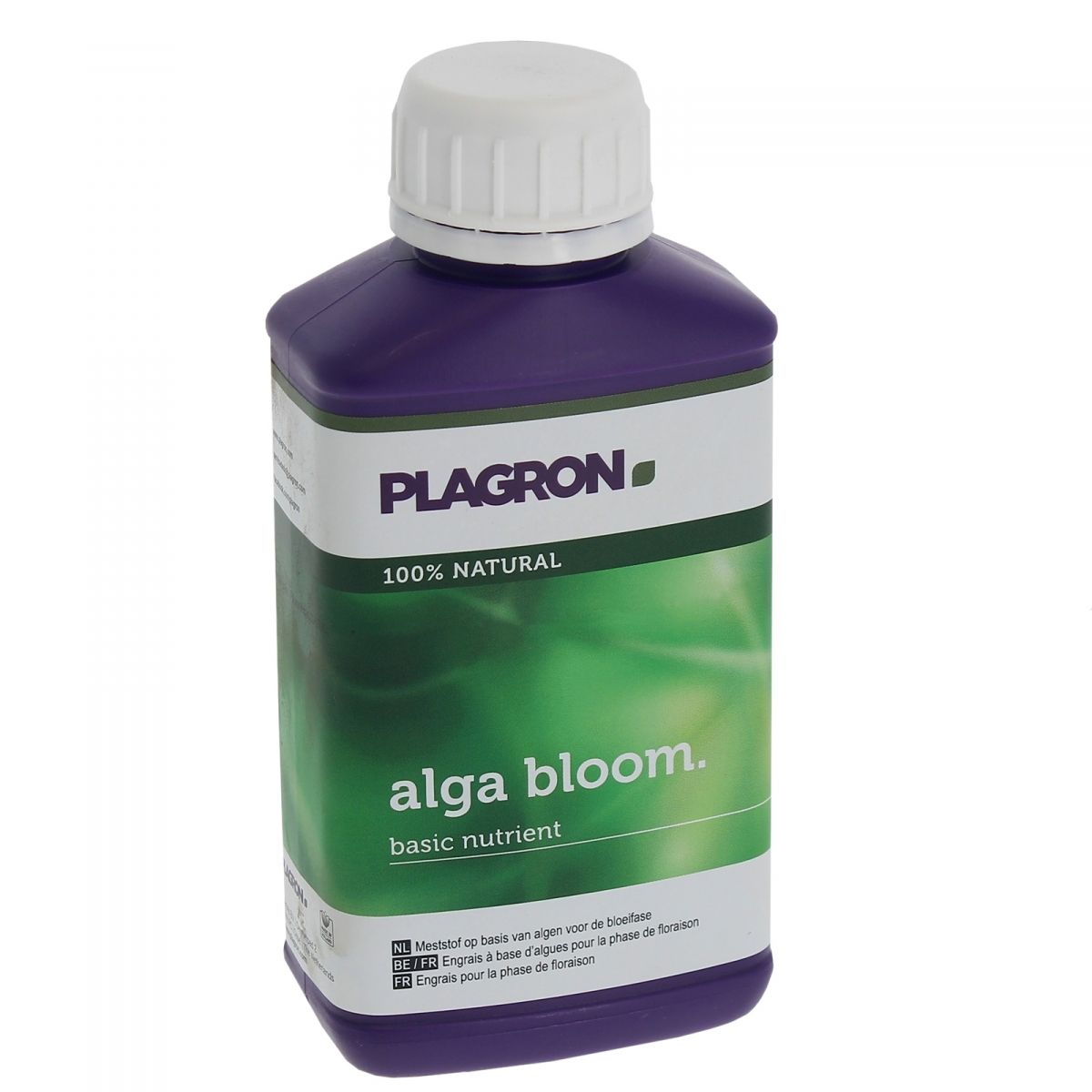 Alga Bloom