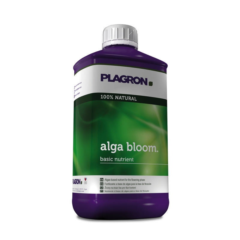 Alga Bloom