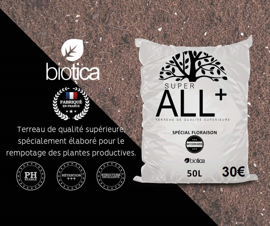 Grâce au terreau Super All Mix +, l'utilisation de la fibre de coco, perlite et tourbes (noires/blondes) combinées avec les mycorhizes et Bacillus améliore considérablement le développement du système racinaire et favorise une croissance végétative et une floraison optimale de la plante. Les mycorhizes sont favorisées par un sol légèrement humide, donc il est déconseillé de trop tasser le terreau et il est préférable d'adopter un arrosage modéré et régulier.