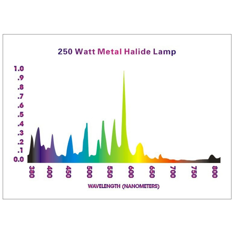 Lampe MH 250W - Croissance