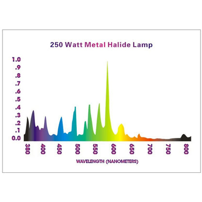 Lampe MH 250W - Croissance