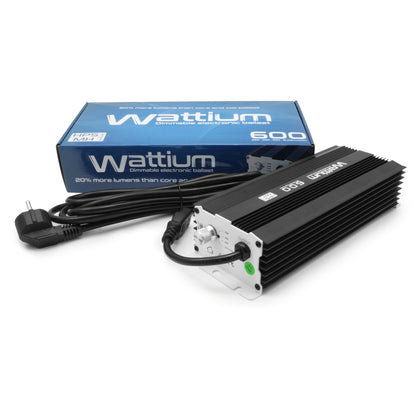 Ballast 600w électronique réglable