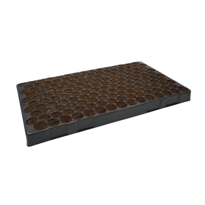Klonmax – Plaque de 150 Cubes d'Enracinement