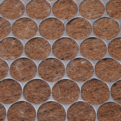 Klonmax – Plaque de 150 Cubes d'Enracinement