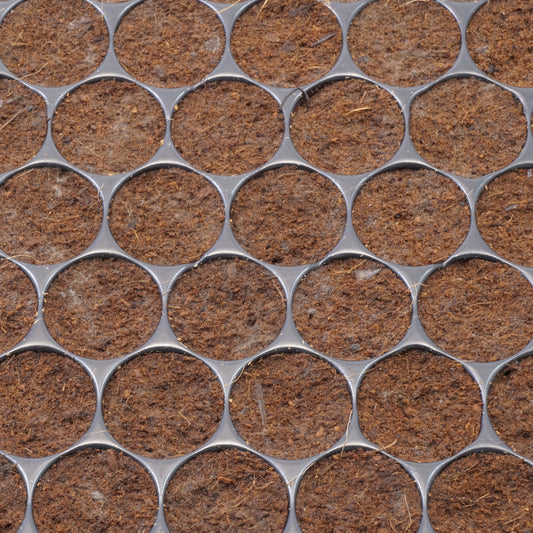 Klonmax – Plaque de 150 Cubes d'Enracinement