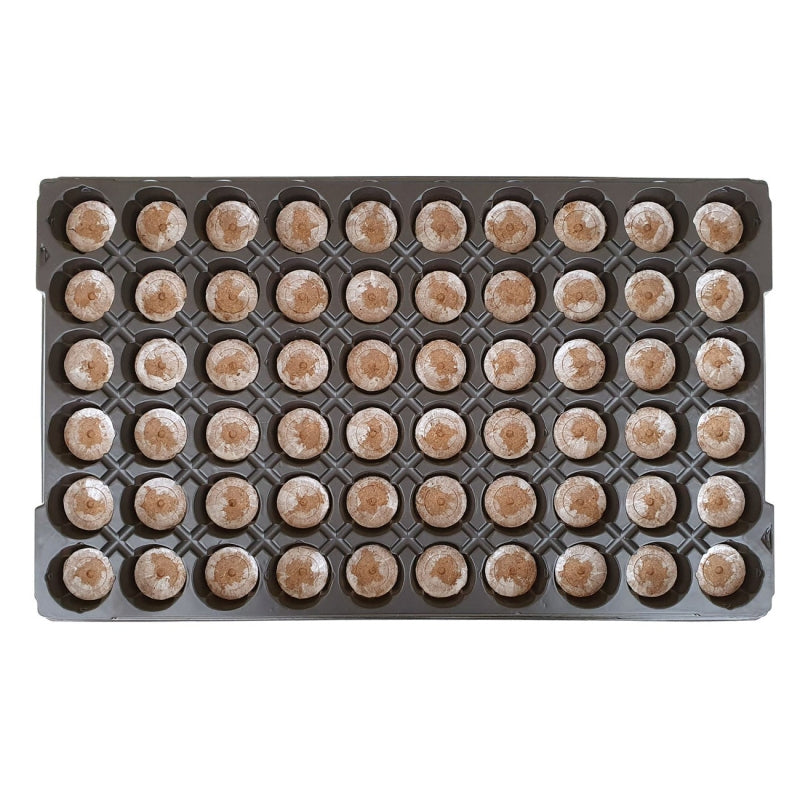 Jiffy 41mm – à l'unité ou en plaque de 60