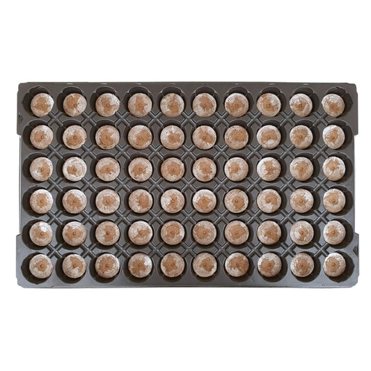 Jiffy 41mm – à l'unité ou en plaque de 60