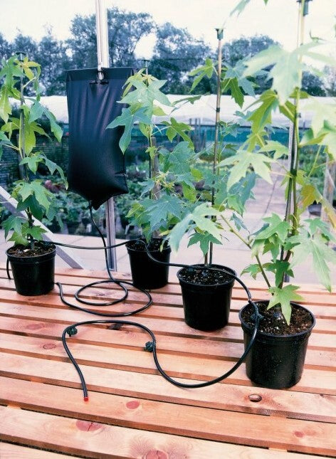 Kit d'arrosage automatique 6 plantes