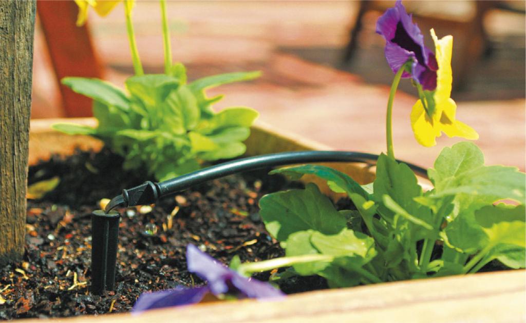 Kit d'arrosage automatique 8 plantes
