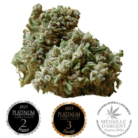 Fleur CBD Legendary OG (extérieure)