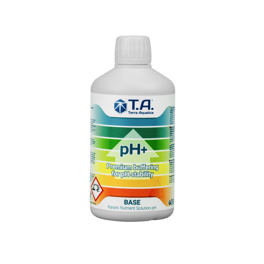 Solution PH +