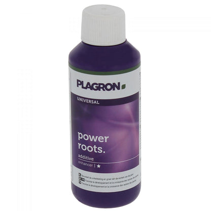 Power Roots