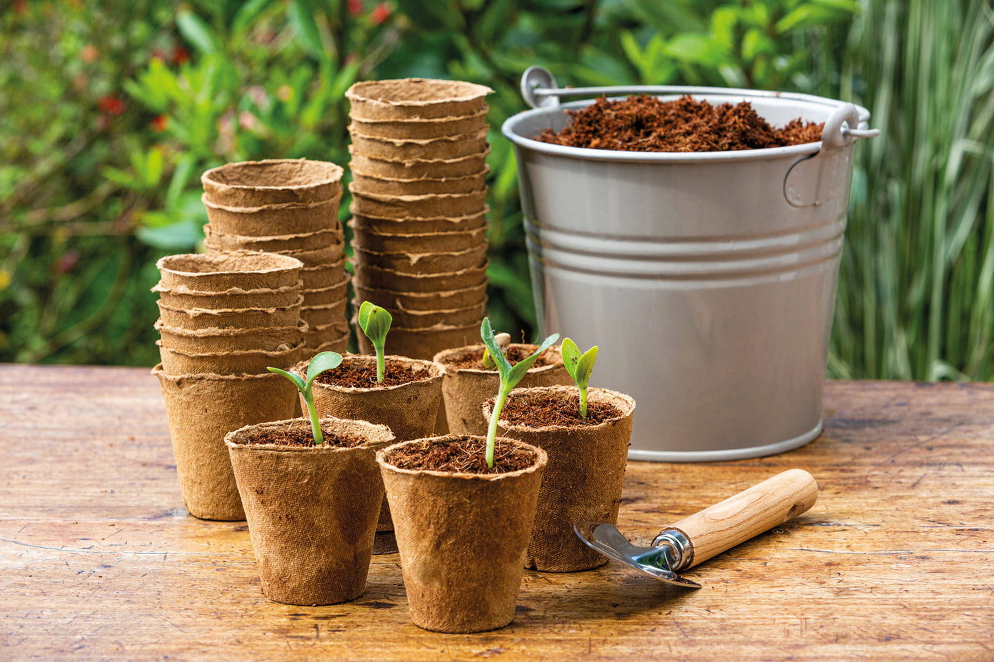 Pot germination biodégradable